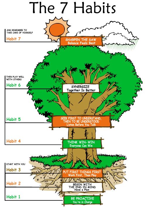 7 Habits Tree